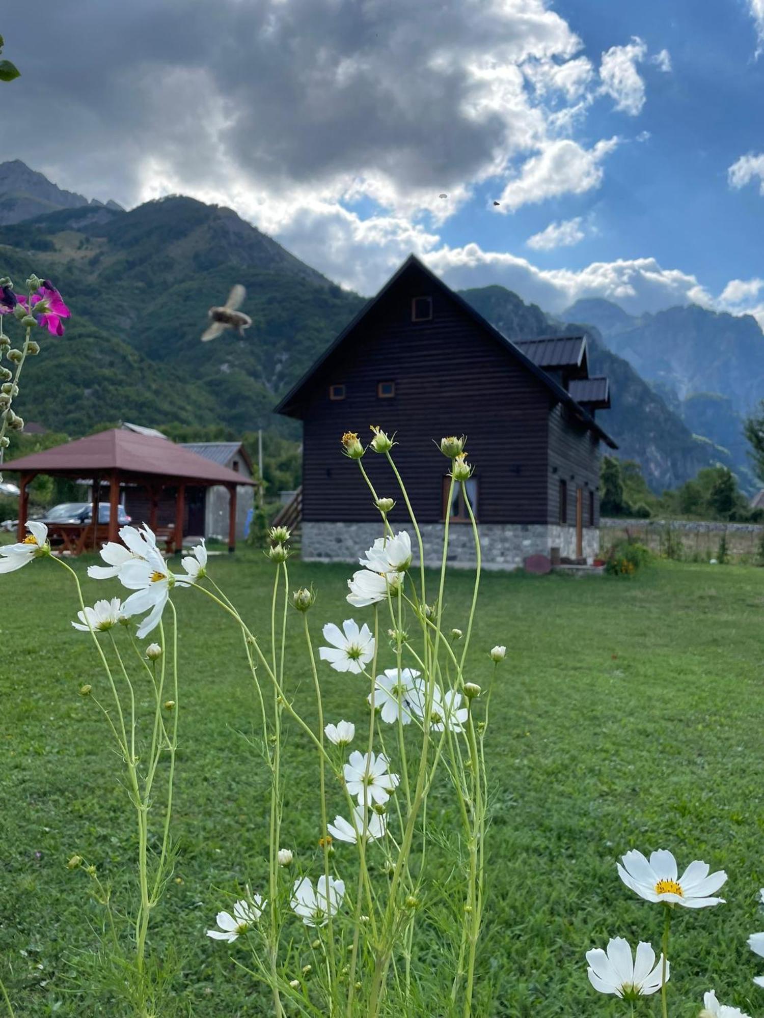 Te Sofra Hotel Shkodra Kültér fotó